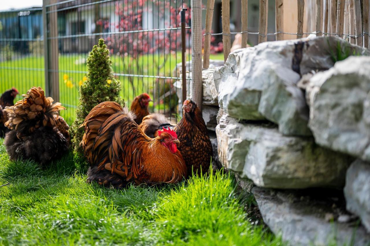 Daskaiser - Dein Gartenhotel In Tirol Ebbs Dış mekan fotoğraf