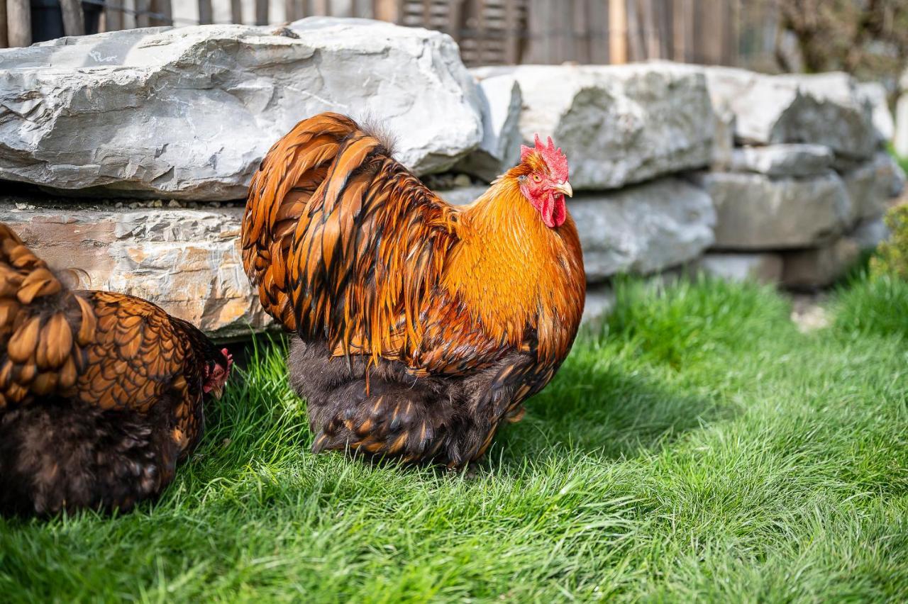 Daskaiser - Dein Gartenhotel In Tirol Ebbs Dış mekan fotoğraf